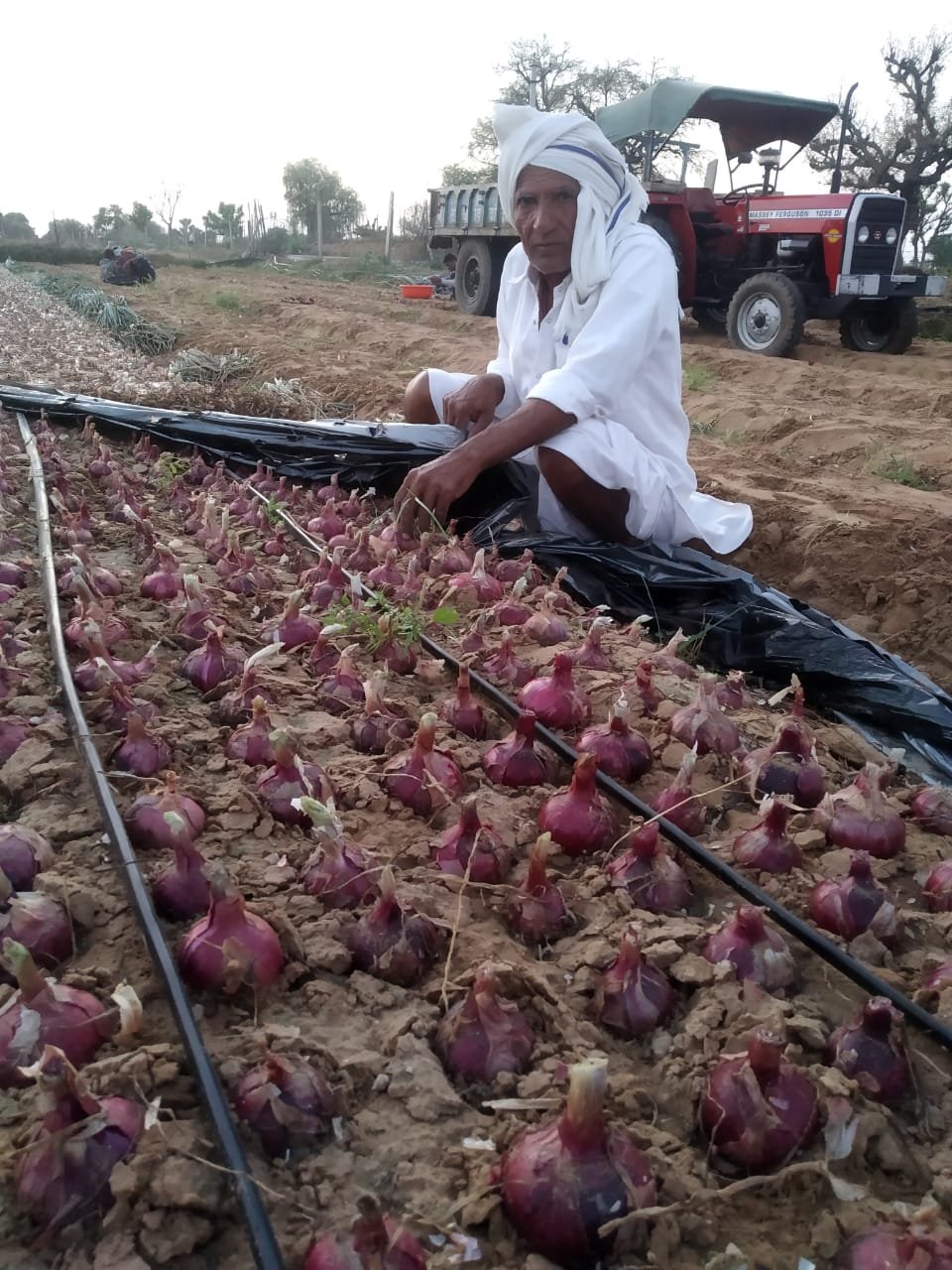 मार्गदर्शन शिबीर 