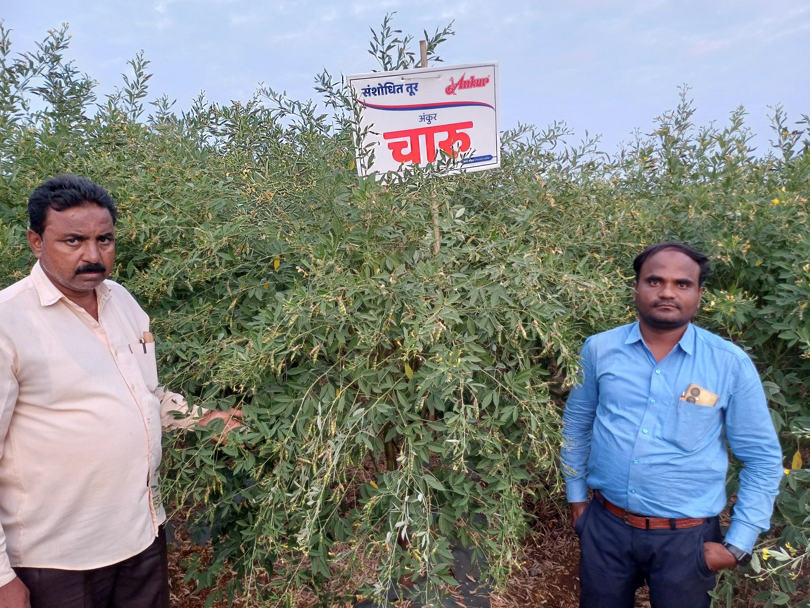 मार्गदर्शन शिबीर 