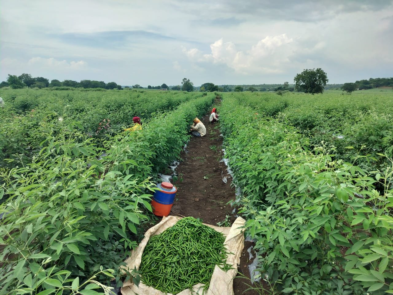 मार्गदर्शन शिबीर