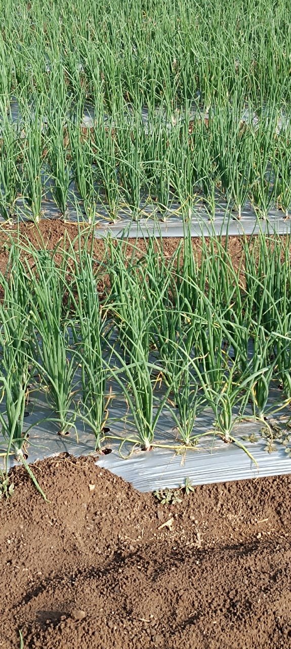 मार्गदर्शन शिबीर